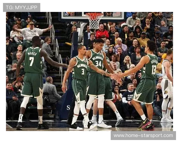 鹈鹕冲击季后赛